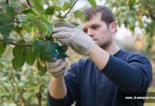 CİFTÇİ DESTEĞİ İÇİN SON GÜN 30 NİSAN