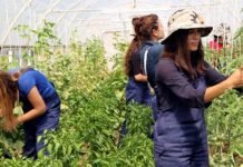 ‘GENÇ ÇİFTÇİ DETEKLERİ’NDE SÜRE DÜZENLEMESİ YAPILDI