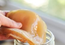 KOMBUCHA NEDİR, NE DEĞİLDİR?