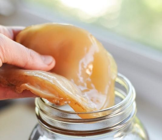 KOMBUCHA NEDİR, NE DEĞİLDİR?