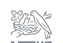 NESTLE GIDA VE CEREAL PARTNERS´DA TİS GÖRÜŞMELERİ BAŞLADI