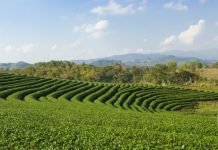 TARIM ARAZİSİNE İHTİYAÇ HER GEÇEN GÜN DAHA DA ARTIYOR!