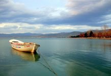 AİHM Bursa Barosu’nun İznik Gölü Kıyısındaki Cargill Fabrikasıyla İlgili Başvurusunu Kabul Etti