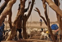 MORİTANYA’DA ‘RAHMAN SOFRALARI’