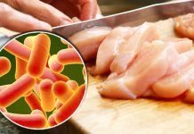 BELÇİKA’DA SALMONELLA 118 ÖĞRENCİYİ ZEHİRLEDİ