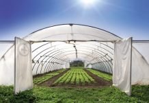 SERACILIK KENTTEN KÖYE GÖÇ BAŞLATTI