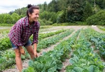 Genç çiftçilere 2018 desteğinde geri sayım