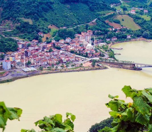 Samsun Vali Yardımcısı Kubalı: Doğal bitki örtümüz tehdit altında