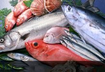 Türk Balığı Aranan Balık Haline Geldi