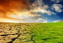 Pechacek: ‘Küresel ısınma 1,5 santigrat dereceyle sınırlandırılabilir’