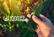 Konya’da Hasat Şenliği “1000 Çiftçi 1000 Bereket”