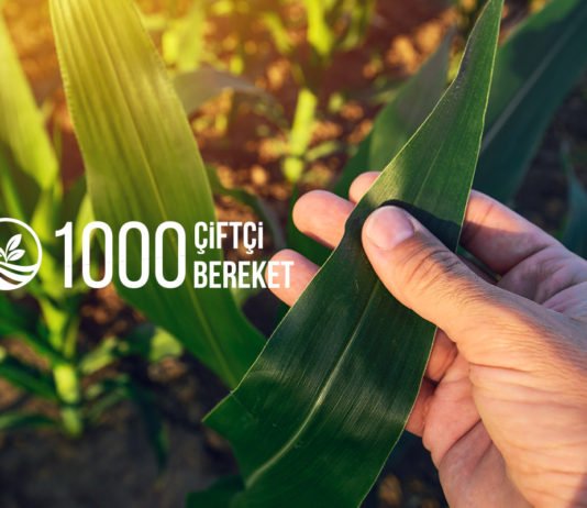 Konya’da Hasat Şenliği “1000 Çiftçi 1000 Bereket”