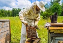 Balparmak Arıcılık Akademisi Yeni Mezunlarıyla Sektöre Değer Katmaya Devam Ediyor arıcılık