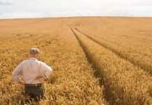 Tarım ve Gıdanın Sürdürülebilir Geleceği İçin