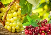 Ege Yaş Meyve Sebze İhracatçıları Birliği 2 URGE Projesine Birden Start Verdi