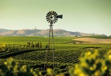 Farm to Fork konferansı 2020: Beslenme Şekilleri ve Gıda Politikaları Masaya Yatırılıyor