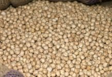 Nohut İhracatı 8 Yıl Sonra İthalatı Geçti