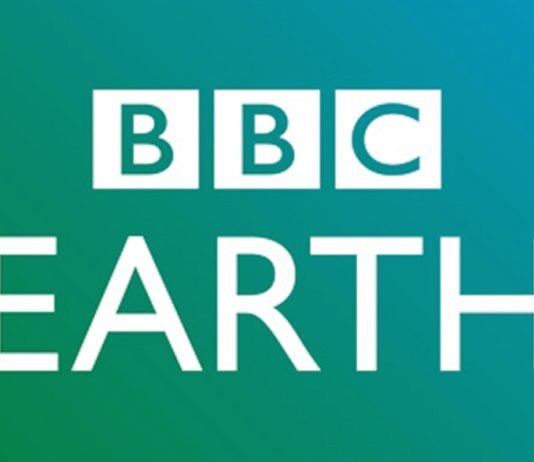 Paket Servis Yemeklerin Gerçekleri BBC Earth Ekranlarında bbc earth