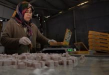 Bilecik’ten ABD’ye ‘Ayva Lokumu’ İhracatı Bilecik 'in Osmaneli ilçesinde belediyenin kurduğu tesiste üretilerek ilk ihracatı Katar'a yapılan ayva lokumu, numune gönderilen ABD'de de ilgi gördü.