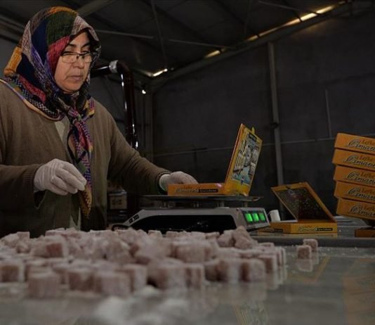 Bilecik’ten ABD’ye ‘Ayva Lokumu’ İhracatı Bilecik 'in Osmaneli ilçesinde belediyenin kurduğu tesiste üretilerek ilk ihracatı Katar'a yapılan ayva lokumu, numune gönderilen ABD'de de ilgi gördü.