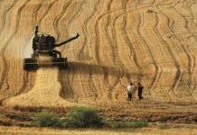 Tarım Kredi İşlemlerinde KORBİS Dönemi korbis