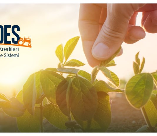 KKB, Koronavirüs Salgınının Tarım ve Gıda Sektörüne Etkisini Mercek Altına Alıyor TARDES