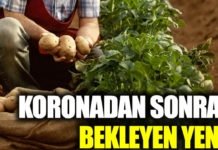 Tehlike Çanları Çalıyor: Koronavirüs ‘den Sonra Dünyayı Bekleyen Yeni Tehlike TEHLİKE