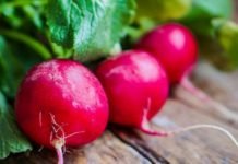 Turpun Faydaları Nelerdir? Turpun İçindeki Vitaminler… TURP