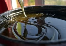 TÜBİTAK Uzmanı Doç. Dr. Oytun Erbaş: Bal Yaşlanmayı Geciktiriyor, Kanserden Koruyor bal