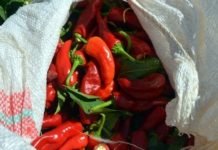Biyokimya Uzmanı: Acı Biber Koronavirüsle Mücadelede Etkili kirmizi-biber-aci