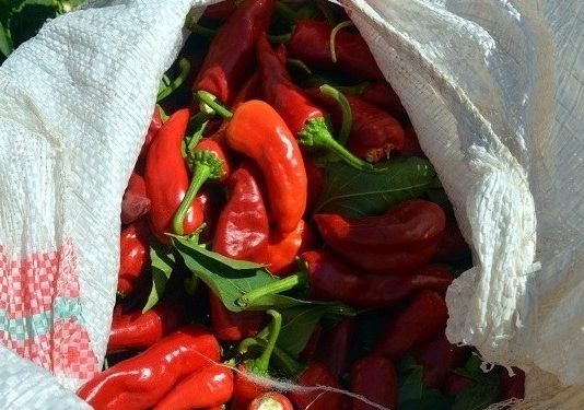 Biyokimya Uzmanı: Acı Biber Koronavirüsle Mücadelede Etkili kirmizi-biber-aci