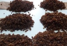 TMO’nun Müdahalesi Kuru Üzümde Kazandırdı! kuru-uzum