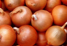 Soğanın kilosu 1 TL ama ellerinde kaldı! soğan