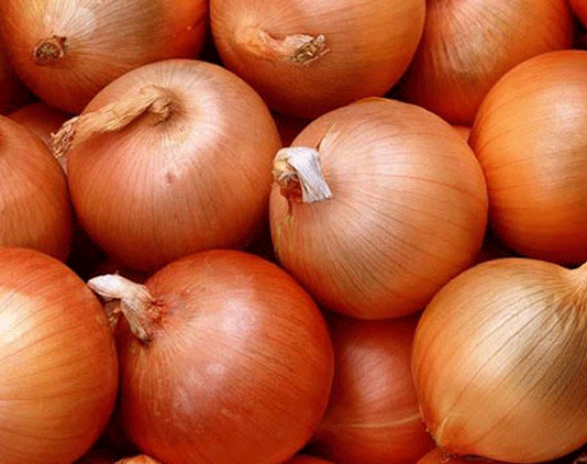 Soğanın kilosu 1 TL ama ellerinde kaldı! soğan