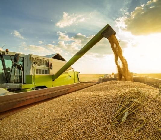 Yıldız Holding, Çiftçiye ve Sözleşmeli Tarıma Verdiği Desteği Artıracak YILDIZ HOLDİNG