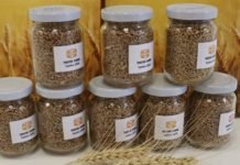 Adana’dan Irak’a Yerli Buğday Tohumu İhracatı YERLİ BUĞDAY TOHUMU