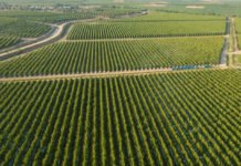 Anadolu Etap ‘a 60 milyon euro kredi anadolu etap