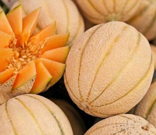 Mis Kokulu Lezzet: Kavunun Bilinmeyen Faydaları kavun