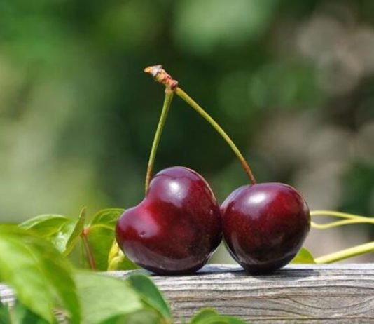 Kırmzı Yaz Güzeli: Kirazın Bilinmeyen 7 Şifası kiraz