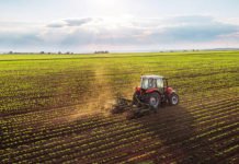 Tarım ve gıda için yeni yasa geliyor: Hobi bahçesine yasak, sahte gıdaya hapis tarım ve gıdaya yeni yasa