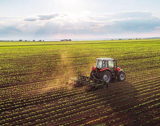 Tarım ve gıda için yeni yasa geliyor: Hobi bahçesine yasak, sahte gıdaya hapis tarım ve gıdaya yeni yasa