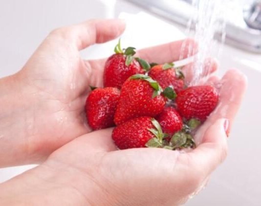 ‘Kırmızı Elmas’ Hasadı Başladı! 4 Ülkeye İhraç Edilecek çilek