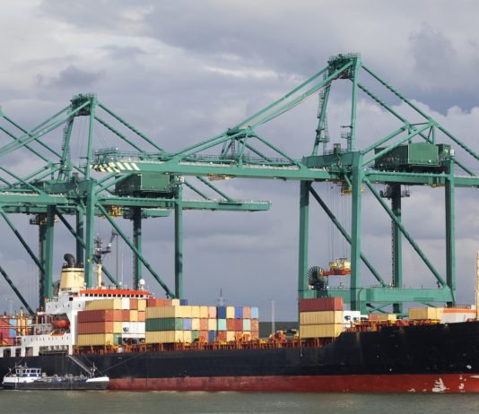 Egeli İhracatçılar ASEAN Ülkeleriyle STA Müzakerelerinin Hızlanmasını İstiyor dış ticaret