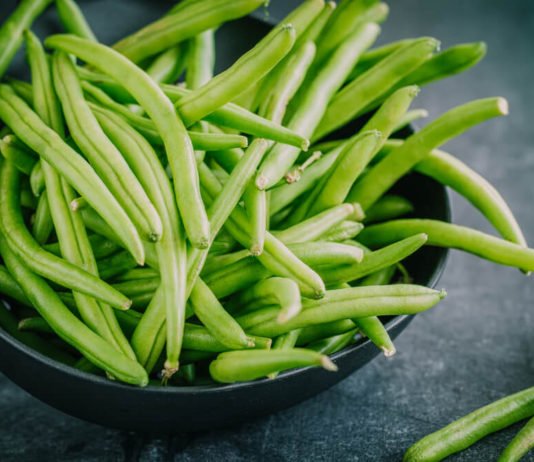 Taze Fasulye Üreticisi Fiyattan Umutlu fasulye