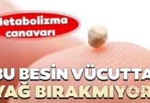 Metabolizmayı Canlandırarak Vücutta Yağ Bırakmayan Mucize Gıdalar metabolizma canavarı