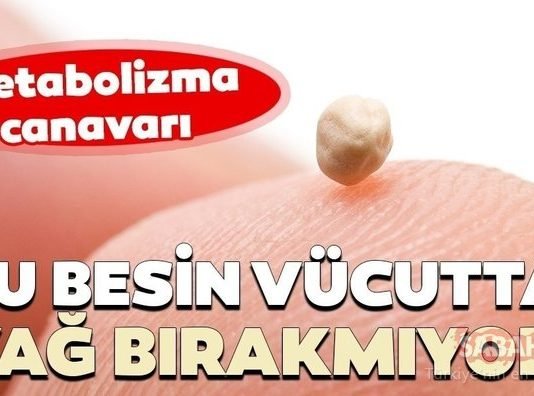 Metabolizmayı Canlandırarak Vücutta Yağ Bırakmayan Mucize Gıdalar metabolizma canavarı
