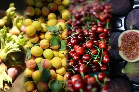 İhracata Dayalı Meyvelerde Markalaşma Talebi İçin Ürün Masaları Kuruldu İhracata dayalı meyvelerde markalaşma talebi