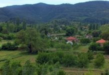 Bakan Pakdemirli’den Orman Köylüsüne Faizsiz Kredi Müjdesi! orman köylüsüne faizsiz kredi müjdesi!