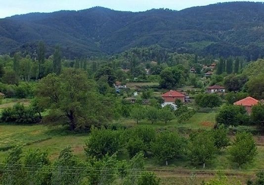Bakan Pakdemirli’den Orman Köylüsüne Faizsiz Kredi Müjdesi! orman köylüsüne faizsiz kredi müjdesi!