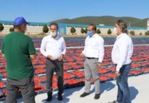 1 Milyar Dolar İhracat Hedefine Üreticilerimizle Birlikte Ulaşacağız İhracat Hedefine Üreticilerimizle Birlikte Ulaşacağız